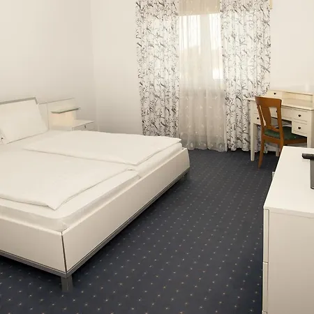 Hotel Hotel Zum Hirsch Bad Sackingen